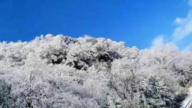 今年的遗憾是什么？来自河南信阳的王阿姨说，过年前父亲去世，匆匆赶回老家却没见上最后一面。她说，我骗了爸爸，还没做饭给他吃......