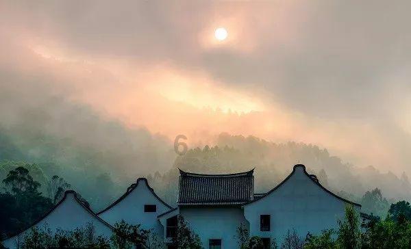 一路走好！“青年诗人”牛涛因抑郁症去世，年仅30岁！